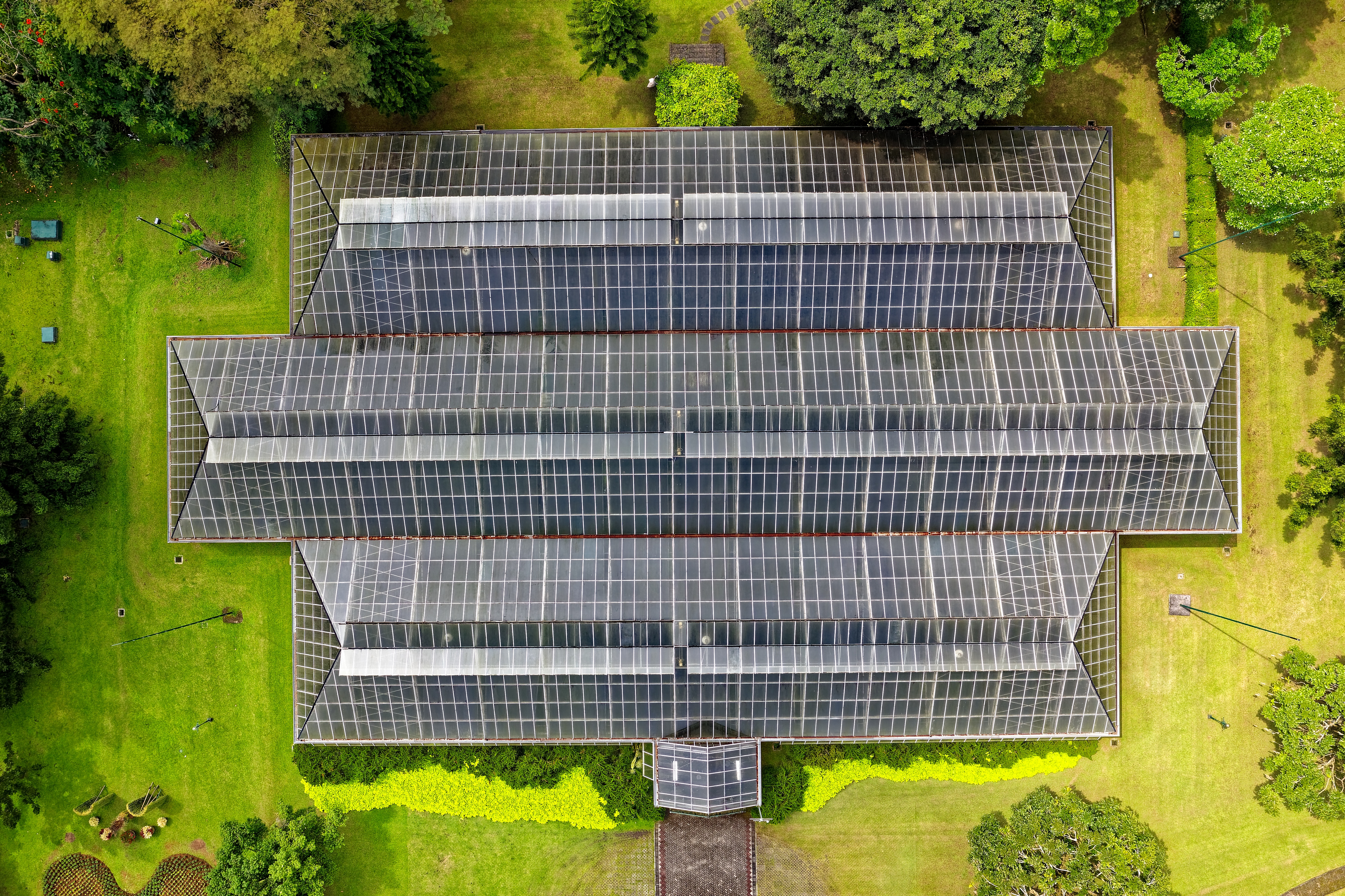 solarpanel1.jpg